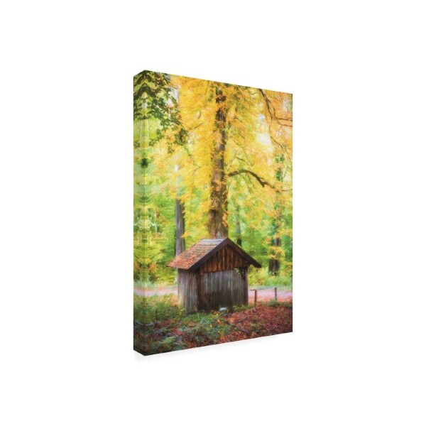 Philippe Sainte Laudy 'The Hut In The Woods' Canvas Art,22x32